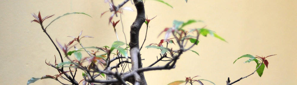 Step-by-Step Tutorials for All Levels
