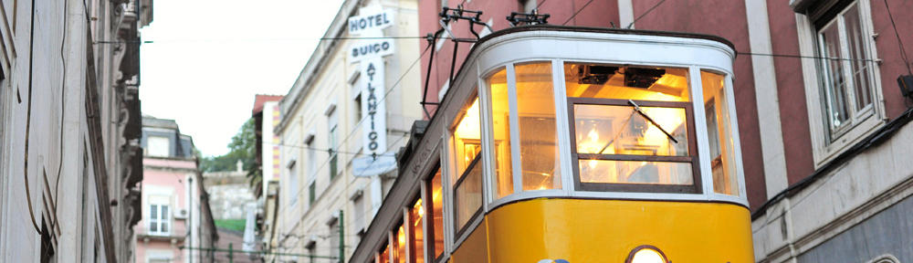 Step-by-Step Tutorials for All Levels
